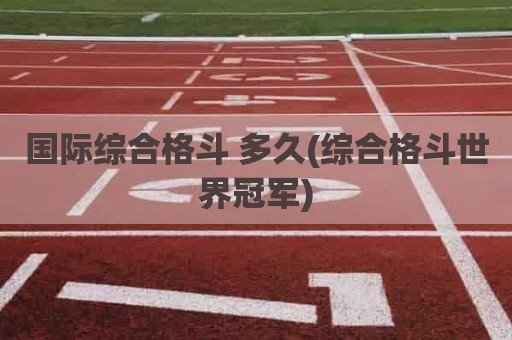 国际综合格斗 多久(综合格斗世界冠军)