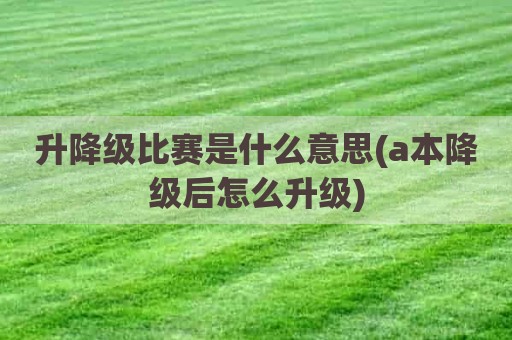 升降级比赛是什么意思(a本降级后怎么升级)