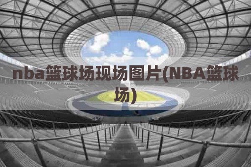 nba篮球场现场图片(NBA篮球场)