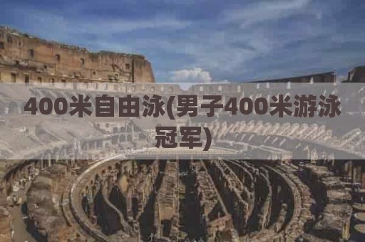 400米自由泳(男子400米游泳冠军)