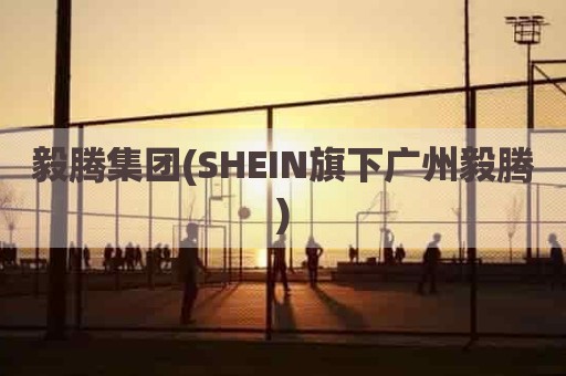 毅腾集团(SHEIN旗下广州毅腾)