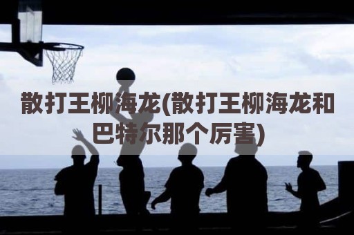 散打王柳海龙(散打王柳海龙和巴特尔那个厉害)