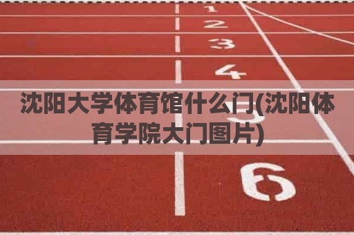 沈阳大学体育馆什么门(沈阳体育学院大门图片)