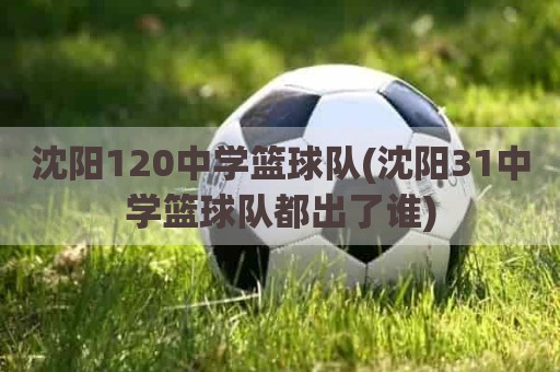 沈阳120中学篮球队(沈阳31中学篮球队都出了谁)