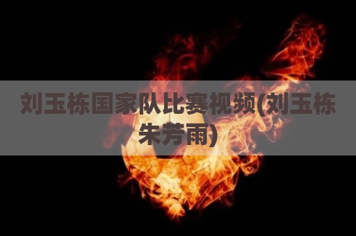 刘玉栋国家队比赛视频(刘玉栋朱芳雨)