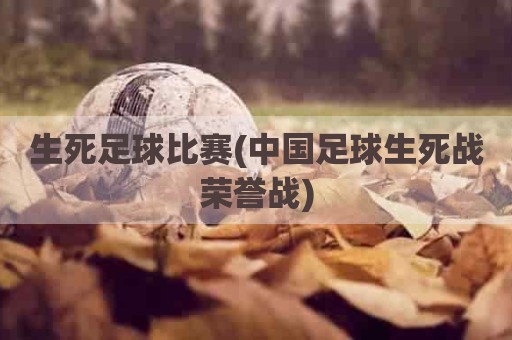 生死足球比赛(中国足球生死战荣誉战)