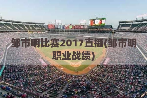 邹市明比赛2017直播(邹市明职业战绩)