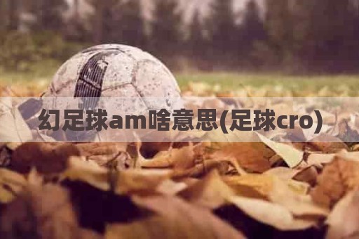 幻足球am啥意思(足球cro)