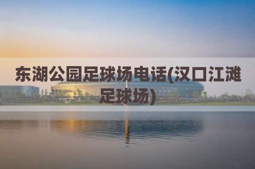 东湖公园足球场电话(汉口江滩足球场)